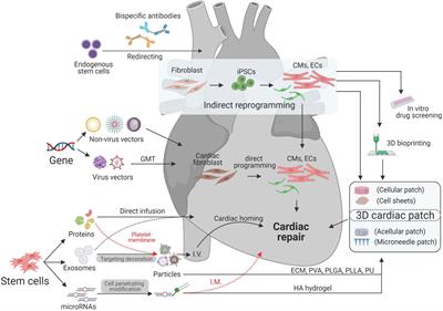 Bioengineering Technologies for Cardiac Regenerative Medicine